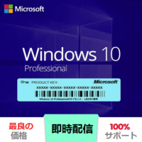 Windows 10 Professional