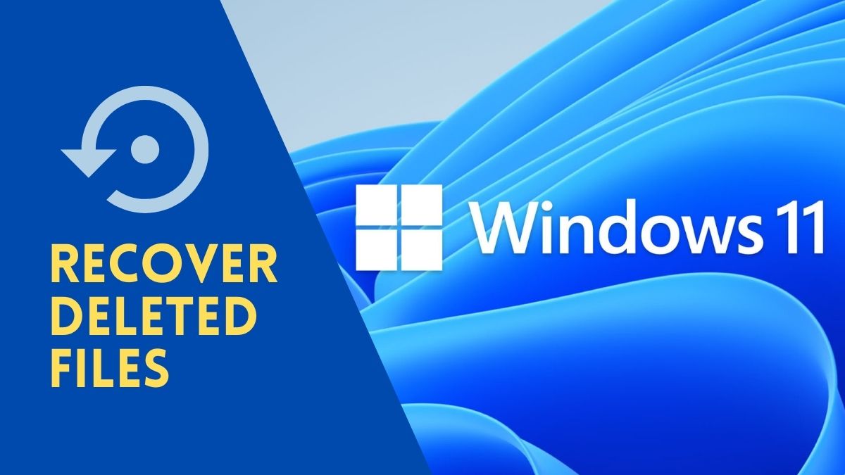 The+Best+Ways+to+Recover+Deleted+Drivers+on+Windows+11